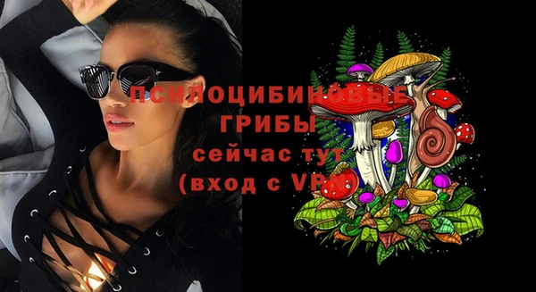 МДПВ Красноперекопск