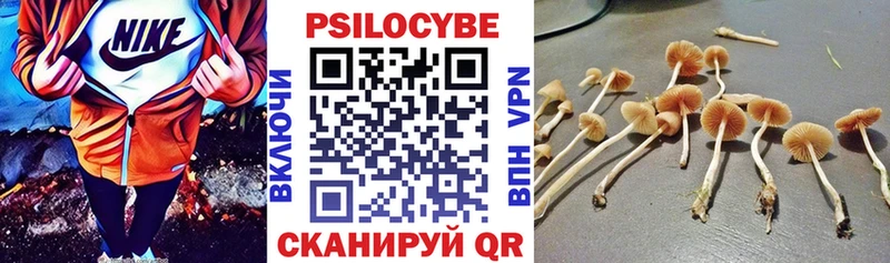 нарко площадка официальный сайт  Нариманов  Галлюциногенные грибы мухоморы 